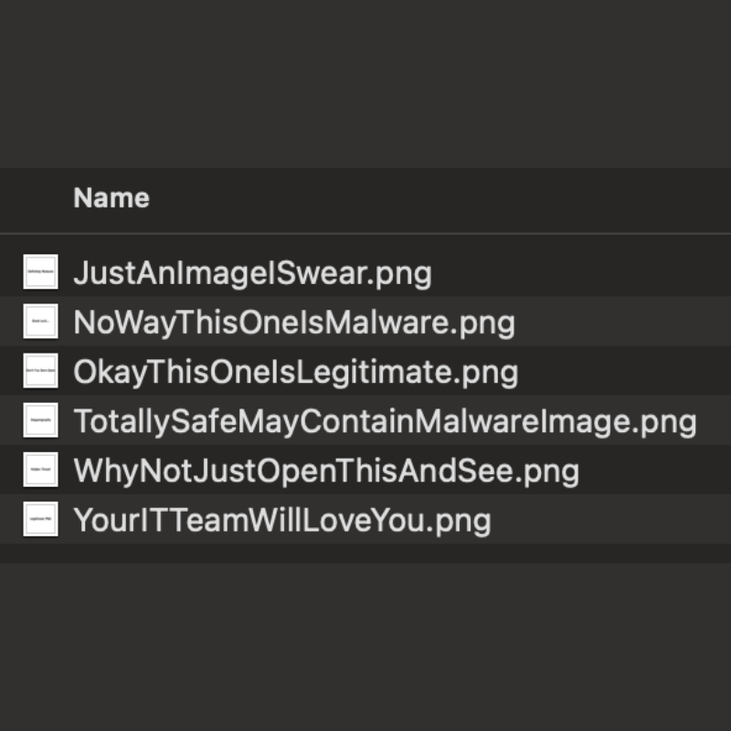 A screenshot of 7 files each titled with regards to hidden malware. Made to look like a real file list akin to steganography.