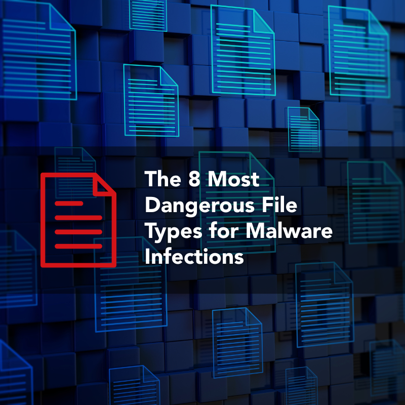 A bunch of digital files and one red one and the title, "The 8 most dangerous file types for malware infections."