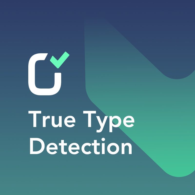 True Type Detection